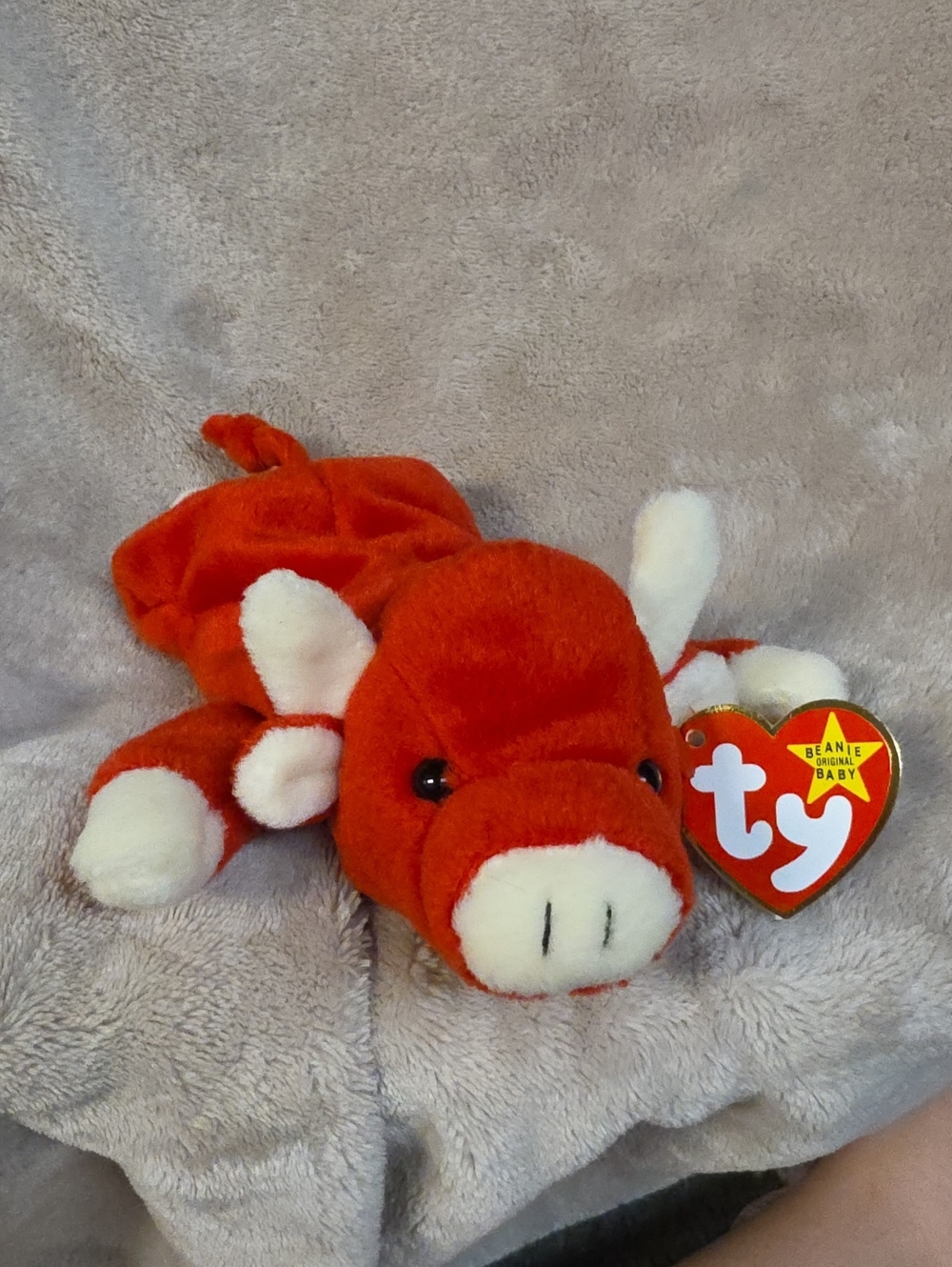 Ty Orange and White Beanie Baby Plush Bull with Heart Tag